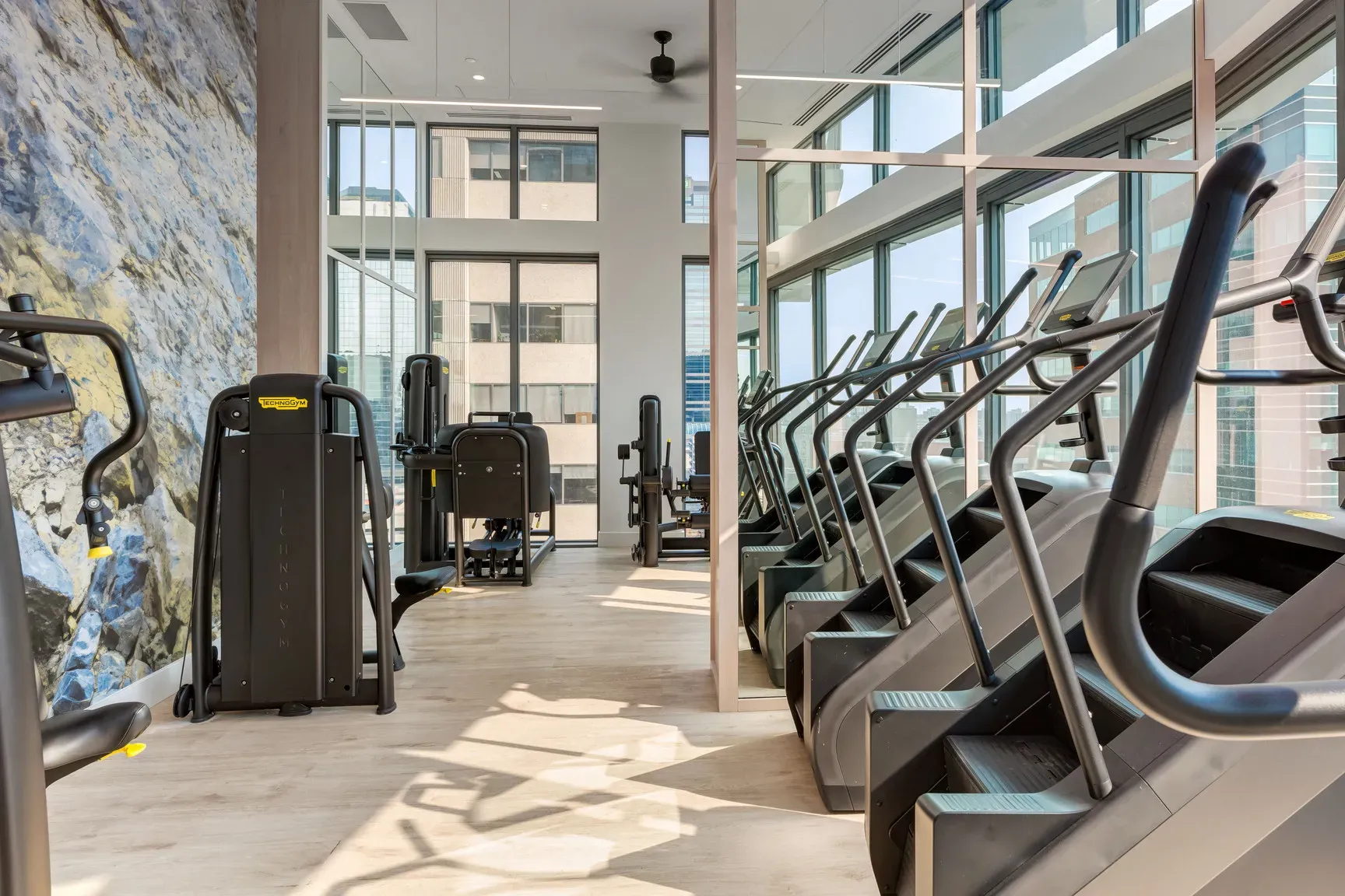 A bright, modern gym with cardio machines, a mountain mural, and large windows.