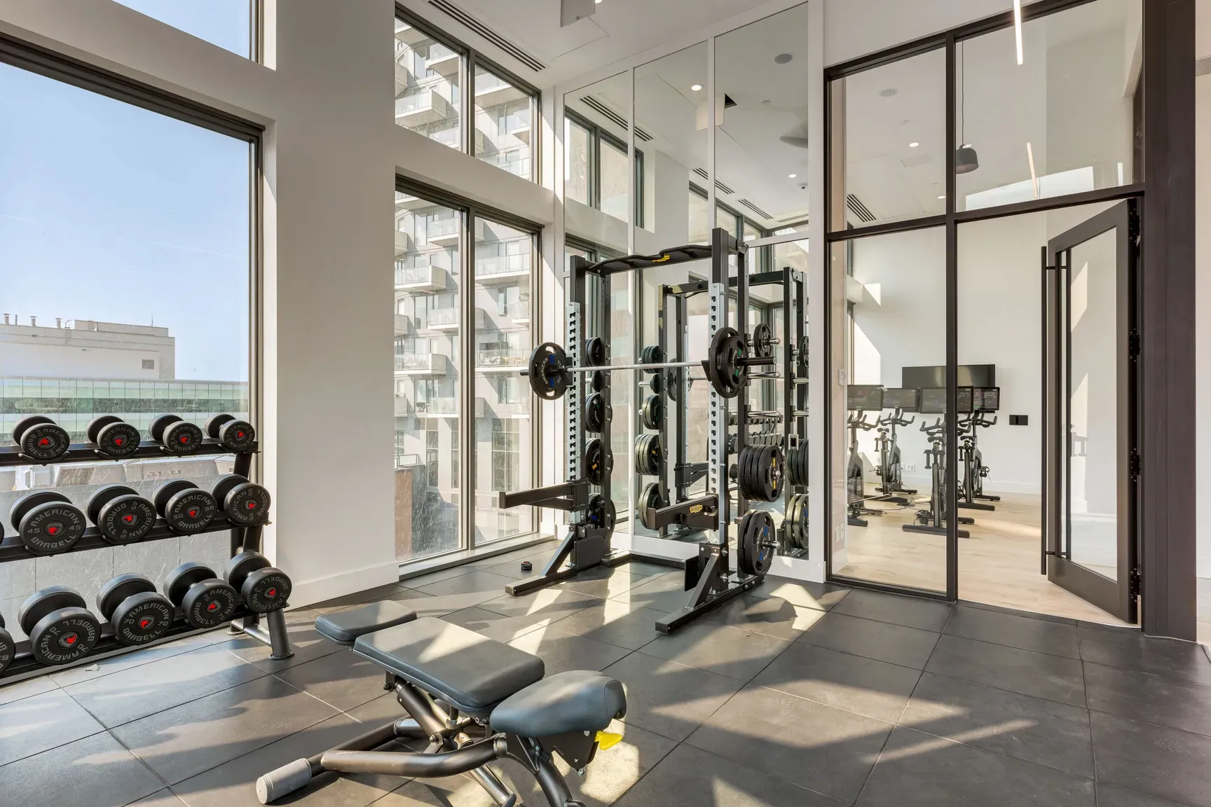 Modern gym with large windows, dumbbell rack, weight bench, and squat rack.